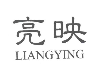 亮映商标,商标近似查询,商标信息查询
